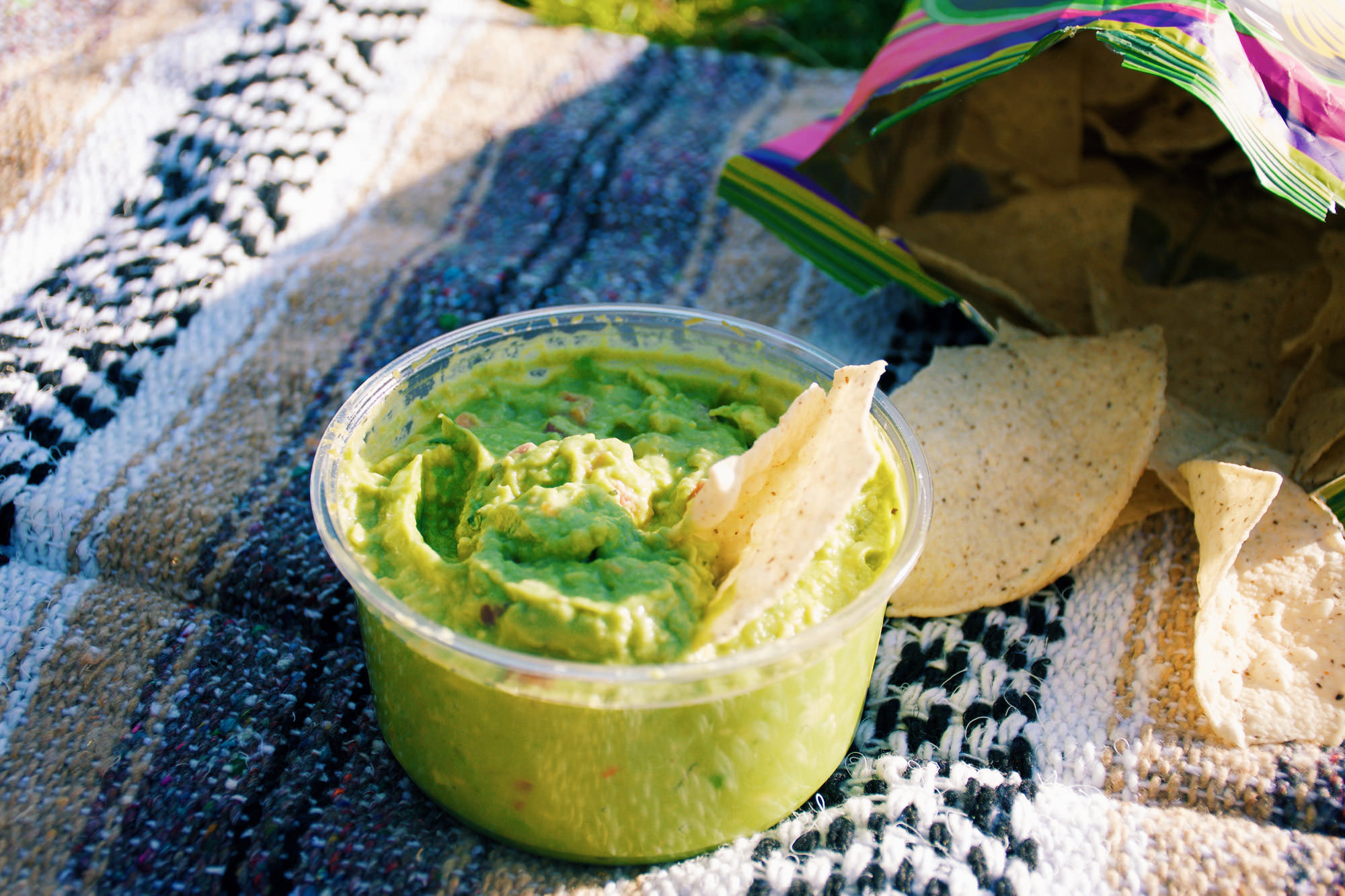 Whole Foods Guac pick a park and have a picnic